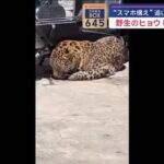 レス1番のサムネイル画像