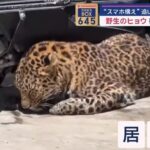 レス1番のサムネイル画像