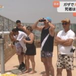 レス2番のサムネイル画像