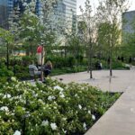 レス2番のサムネイル画像