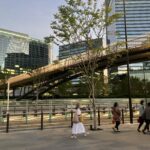 レス2番のサムネイル画像