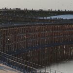 レス3番のサムネイル画像