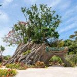 レス22番の画像2