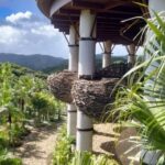 レス3番の画像3