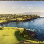 レス14番の画像2