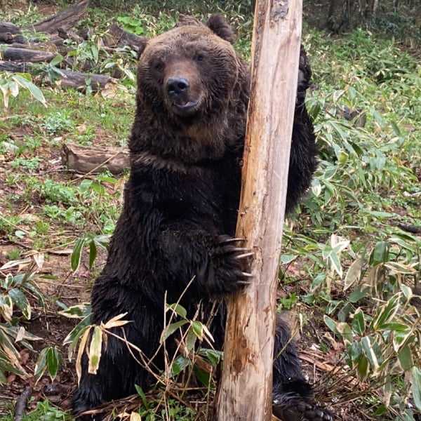 記事サムネイル