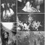 レス5番の画像1