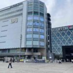 レス8番の画像1