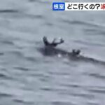 レス1番の画像1