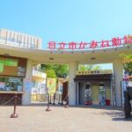 レス30番の画像1