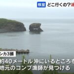 レス1番の画像2