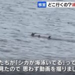 レス1番の画像3