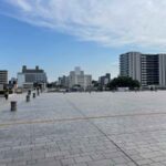 レス5番の画像1