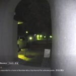 レス1番のリンク先のサムネイル画像