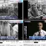 レス31番の画像1