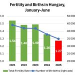 レス33番の画像1