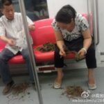 レス22番の画像8