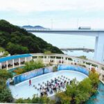 レス28番の画像1