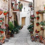 レス39番の画像1