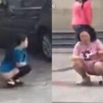 レス22番の画像3