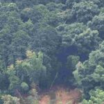 レス1番の画像5