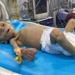 レス2番の画像4