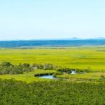 レス2番の画像1