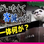 レス1番のリンク先のサムネイル画像