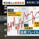 レス3番の画像4