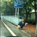 レス22番の画像13