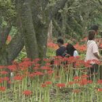 レス1番のリンク先のサムネイル画像