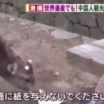 レス20番の画像3