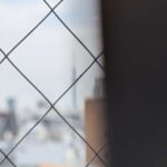 レス38番の画像1