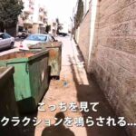 レス3番の画像5