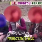 レス20番の画像2