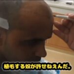 レス2番の画像13