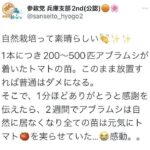 レス39番の画像1