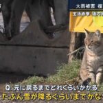 レス2番の画像3