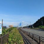 レス34番の画像2