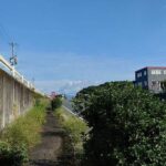 レス33番の画像1