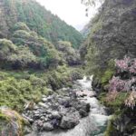 レス63番の画像1