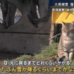 レス2番の画像2