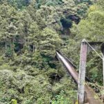 レス73番の画像1