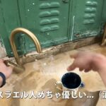 レス6番の画像3