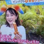 レス2番の画像5