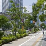 レス1番の画像4