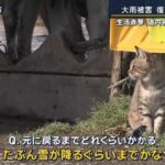 レス2番の画像4