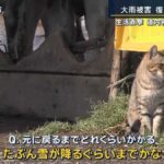 レス2番の画像1