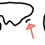 レス6番の画像1