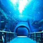 レス19番の画像2